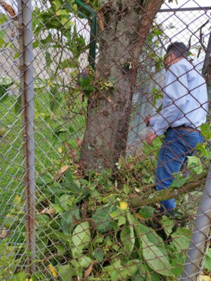 IMG_20220718_161400-scaled